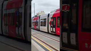 TRANSPORT SYDNEY NSW AUSTRALIA  TRAMS L04 [upl. by Ahsot115]