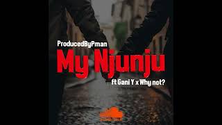 Pman My Njunju Feat Gani Y x WhyNot [upl. by Assira]