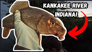 How to Fish the Kankakee River in Indiana Expert Tips Best Baits amp Rigs for Epic Catches [upl. by Eislel231]