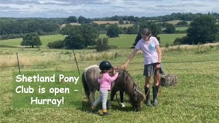 Shetland Pony Club is open Hurray  TV Episode 327 [upl. by Nnairol731]