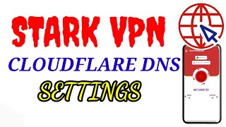 StepbyStep Stark VPN Configuration Cloudflare DNS Setting Tutorial Empower Your Privacy [upl. by Ardnalahs]