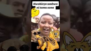 Mitura na samosa umbwa fypシ゚viral kikuyumedia kikuyucelebrity kenya fyp subscribe fy fypシ゚ [upl. by Marcelle]