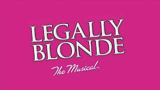 Legally Blonde Omigod You Guys Backing Track [upl. by Yenhpad]