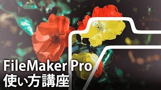 FileMakerProファイルメーカープロ使い方講座「データーベースとは」 [upl. by Roxine]