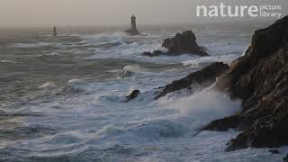 Winter storm at the Pointe du Raz in Finistere with the Vieille Lighthouse Brittany France [upl. by Baptist69]