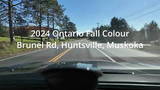 Brunel Road in Muskoka Ontario [upl. by Farah]