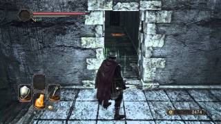 DARK SOULS II Scholar of the First Sin Bastille key location [upl. by Drofdarb]