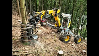 🌲4K Menzi Muck M545 amp Ponsse Scorpion King • Big Slope • Steilhang • Schreitbagger in Action 🌲 [upl. by Stempien]