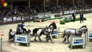 Koos DE RONDE  PREMIERE PLACE  Bordeaux  La finale 2013  Winning Round [upl. by Willcox]