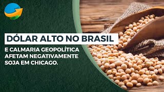 Dólar alto no Brasil e calmaria geopolítica afetam negativamente soja em Chicago [upl. by Yursa]