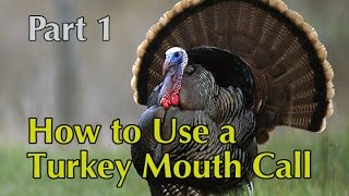 Turkey Calling 101  The Basics [upl. by Lynsey171]