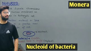 Nucleoid Structure And Functions  Bacteria  Class 11 Biology [upl. by Lois]