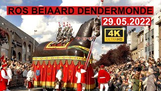 ROS BEIAARD DENDERMONDE 29052022 deel 5 [upl. by Calvert]