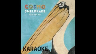 KARAOKE The Fly  Cosmo Sheldrake [upl. by Lyell170]