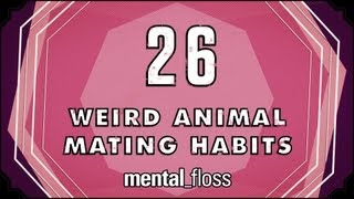 26 Weird Animal Mating Habits  mentalfloss on YouTube Ep 20 [upl. by Bibbie891]