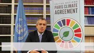 Paris Agreement Toward entry into force explained extended cut [upl. by Slemmer]