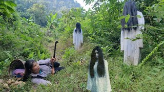 Single mother in danger in the forest  Harvesting sweet potatoes and ginger to sell [upl. by Fogg]