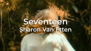 Sharon Van Etten  Seventeen  Sub Español  Si Supieras [upl. by Ahsila]