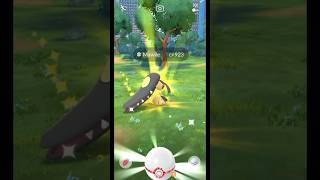 Mawiles Mega Moment has finally arrived In pokemongo [upl. by Aitas]