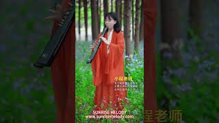 M5 EWI electronic wind instrument SUNRISE MELODY electricblowpipe ewi electronicmusic [upl. by Aenel955]