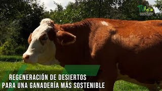 Regeneración de desiertos para una ganadería más sostenible  TvAgro por Juan Gonzalo Angel Restrepo [upl. by Mobley]