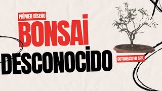 Primer diseño de bonsai desconocido árbol de vivero  Bonsai Ecuador 🇪🇨 [upl. by Rumit]