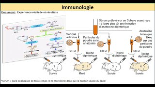 immunologie le systeme immunitaire exercices svt bac 2022 QCM 02 [upl. by Tomasine]