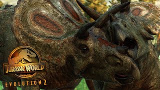 Torosaurus LOCK HORNS  Life in the Cretaceous  Jurassic World Evolution 2 🦖 4K 🦖 [upl. by Temple924]