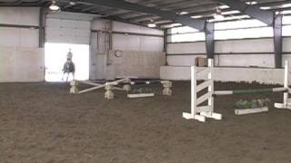 Jumping a Gymnastic Line on a Horse  Jumping 5 Fences on a Horse [upl. by Welcy]