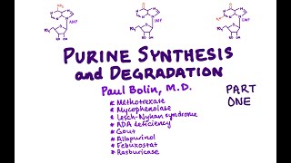 Purine Synthesis  CRASH Medical Review Series [upl. by Jochbed504]