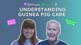 Understanding Guinea Pig Care – Hannah Messer VETChat  Veterinary Podcast [upl. by Nelson]