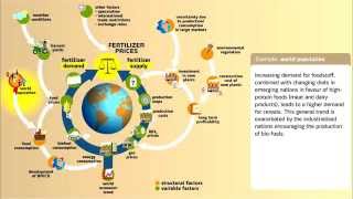 Understanding Fertilizer Market Dynamics [upl. by Lenhart]