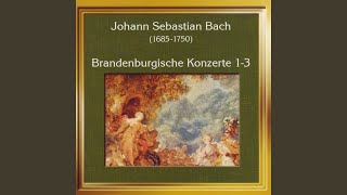 Brandenburgisches Konzert Nr 1 BWV 1046 Adagio [upl. by Noicpecnoc]