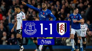 EVERTON 11 FULHAM  Premier League highlights [upl. by Aicat]