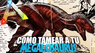 COMO TAMEAR A TU MEGALOSAURUS  Guia Español  Ark Survival Evolved [upl. by Nirag]