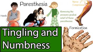 Numbness and Tingling Causes of Paresthesia [upl. by Moth]