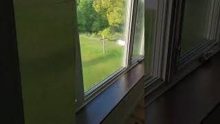 What I HATE about Triple Pane Windows [upl. by Eseneg380]