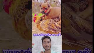 একেই বলে মায়ের চাইতে মাসির দরদ বেশি subscribe comedyfilms funny [upl. by Boylan556]