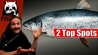 Russian Fishing 4  Ladoga Archipel  2 Spots in 1 Stunde [upl. by Sidran581]