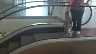 Baby on escalator [upl. by Rhett]