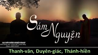 Sám Nguyện ĐĐ Thích Nhuận Thanh [upl. by Avaria]