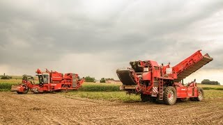 2x Dewulf RA 3060 aardappelen rooien 2014  Van Bruwaene Roger uit Egem [upl. by Atenaz]