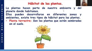 Tutoria grado primero Clase 3 El hábitat de las plantas [upl. by Aynatahs]