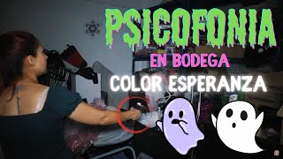 PSICOFONIA EN BODEGA DE COLOR ESPERANZA 👻 [upl. by Luelle120]