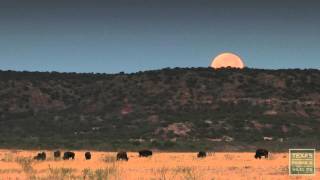 Caprock Canyons Moonset  Postcard From Texas [upl. by Potter]