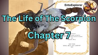 The Scorpion Family  Chapter 7  The Life of the Scorpion by Jean Henri Fabre [upl. by Savvas]