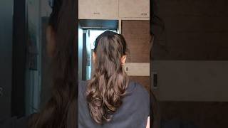 volume ponytail hack 🔥 hairstyle hair ytshorts [upl. by Eugenle]