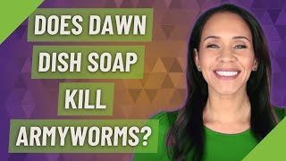 Does Dawn dish soap kill armyworms [upl. by Neeroc519]