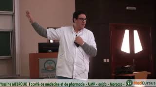 Épilepsies et Syndromes Épileptiques  Partie 4  PrYasine MEBROUK [upl. by Larual]