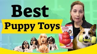 Best Puppy Toys to Keep Them Busy [upl. by Isabelle38]